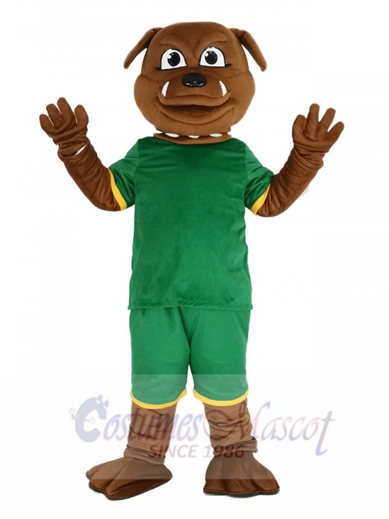 Brown Bulldog in Green Sweatshirt Mascot Costume