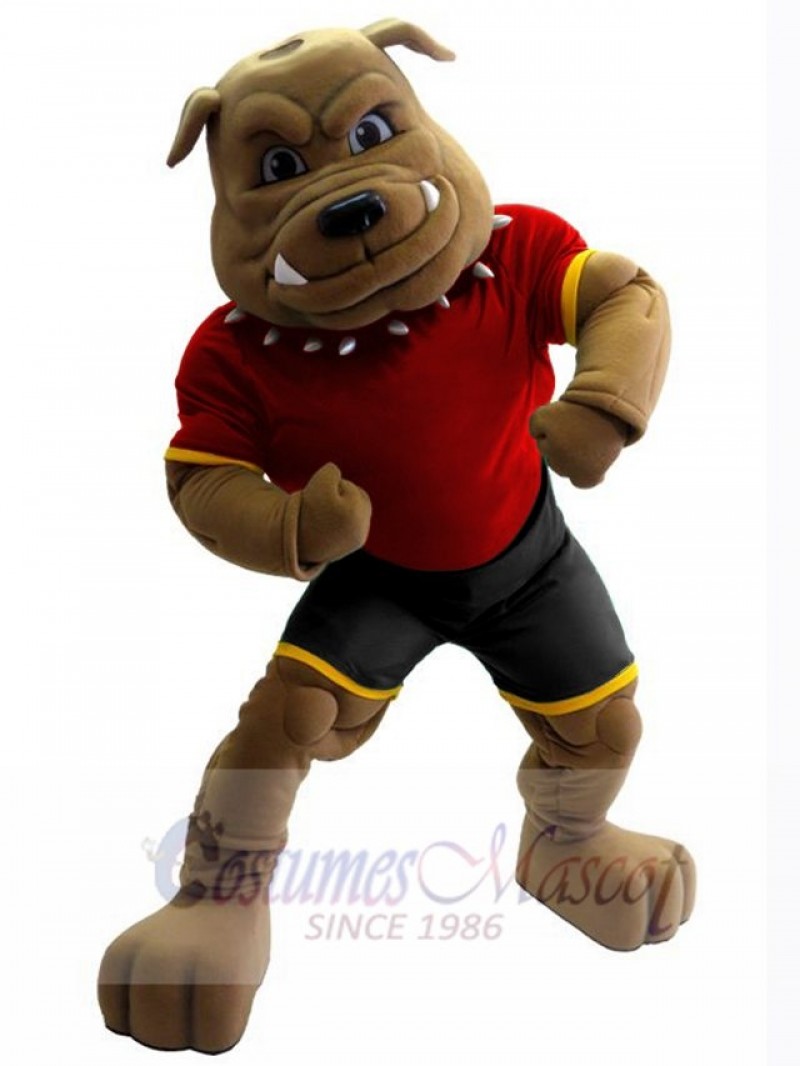 Bulldog mascot costume