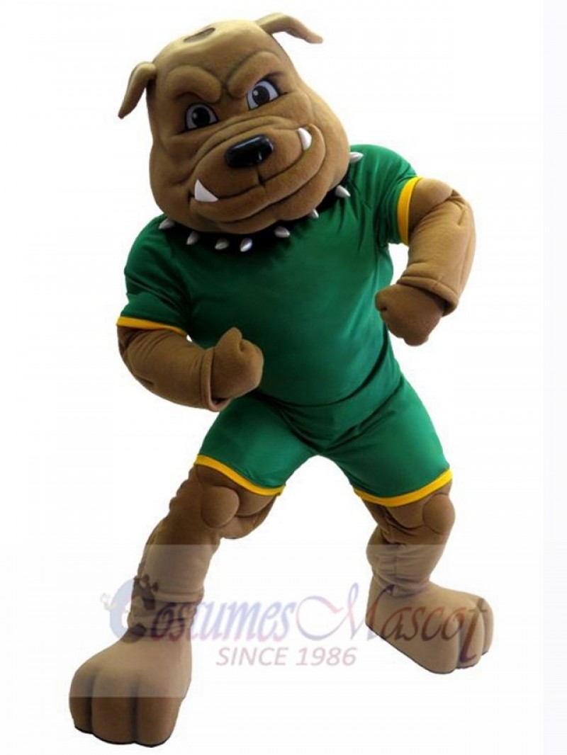 Bulldog Custom Animal Mascot Costume