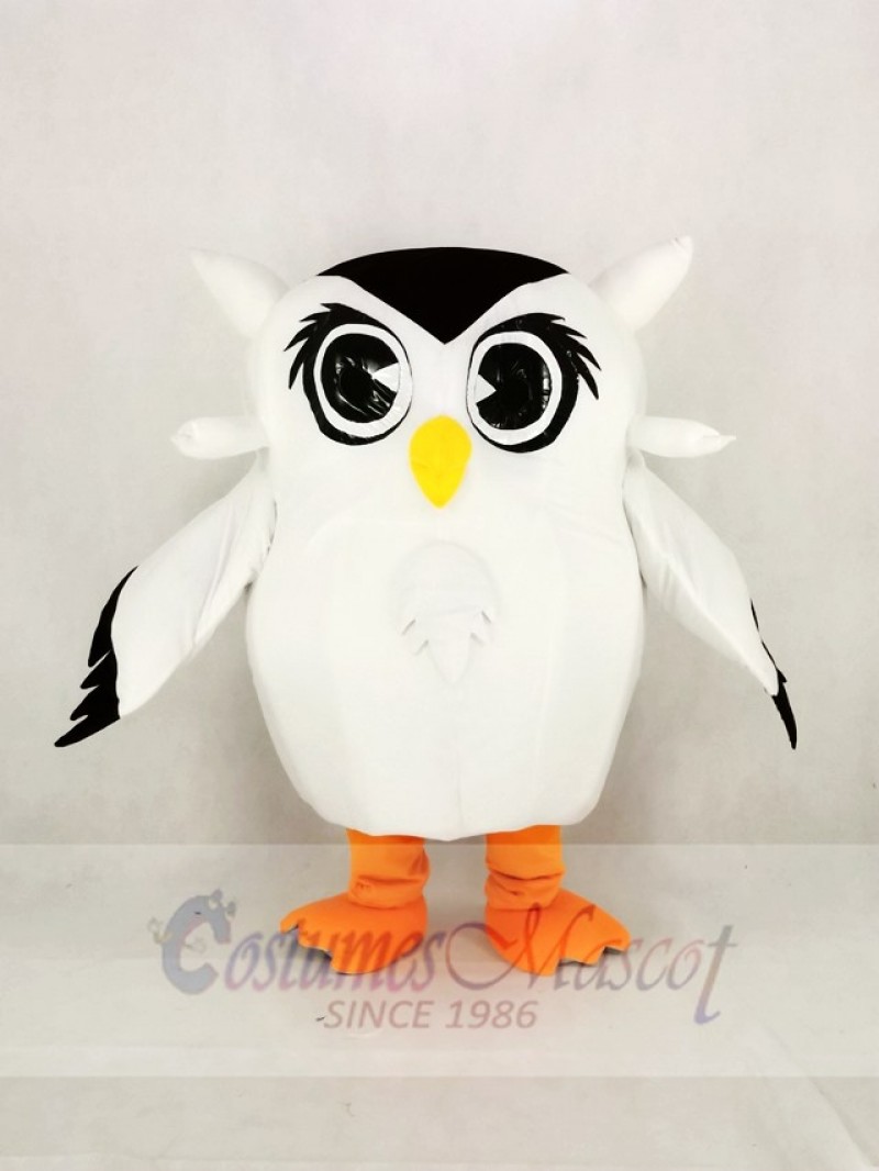 Cute White Owl Mascot Costume Cartoon