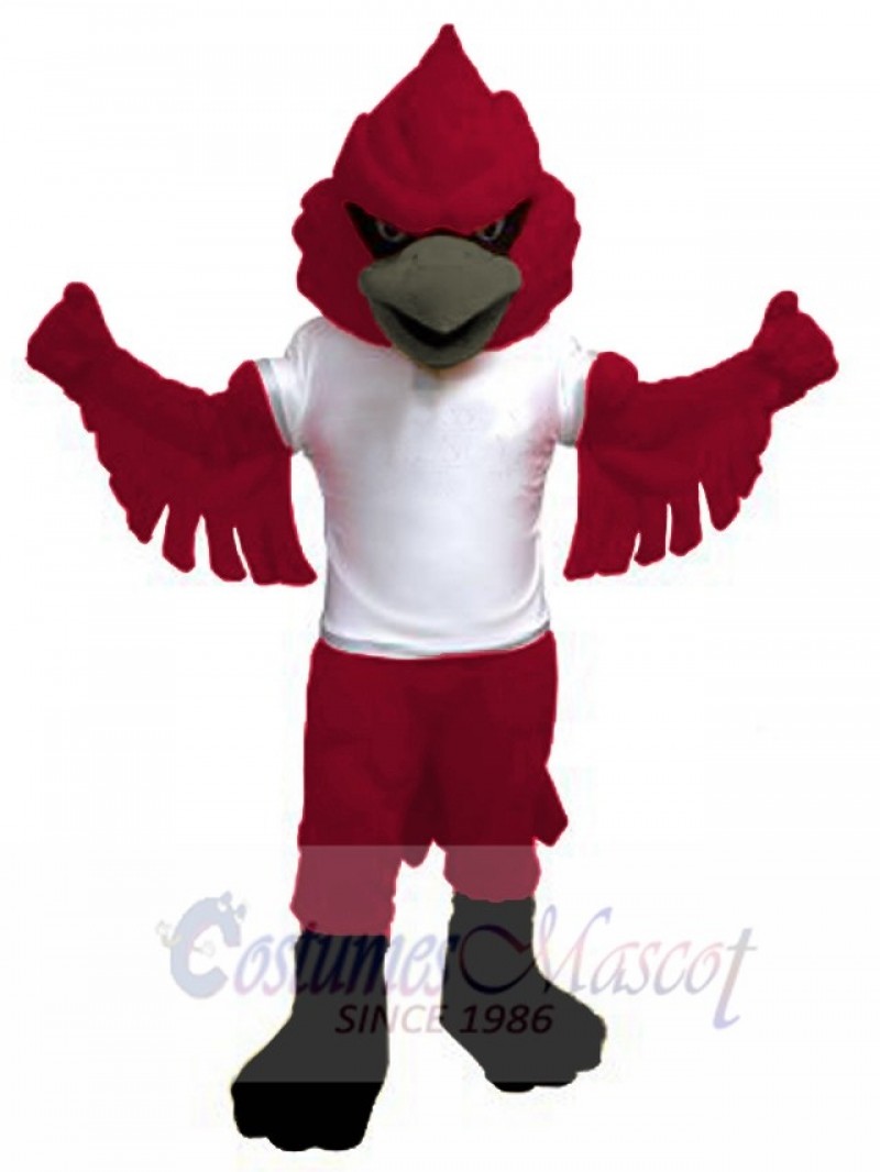 Cardinal mascot costume