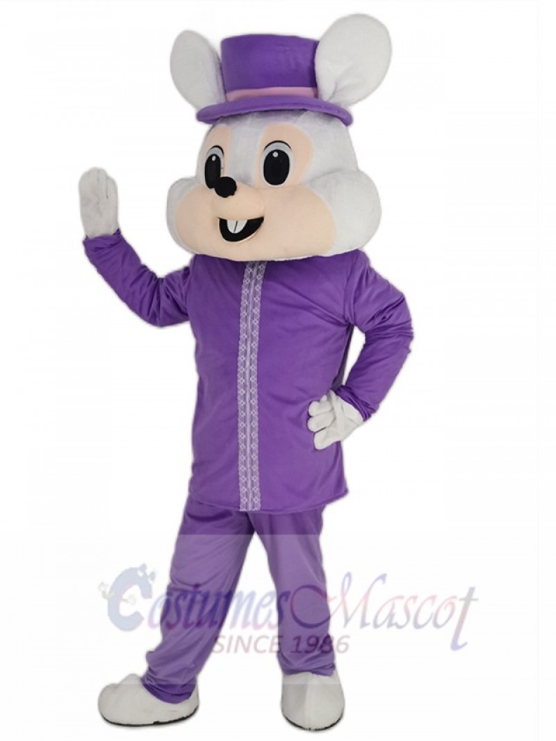 Easter Bunny mascot costume