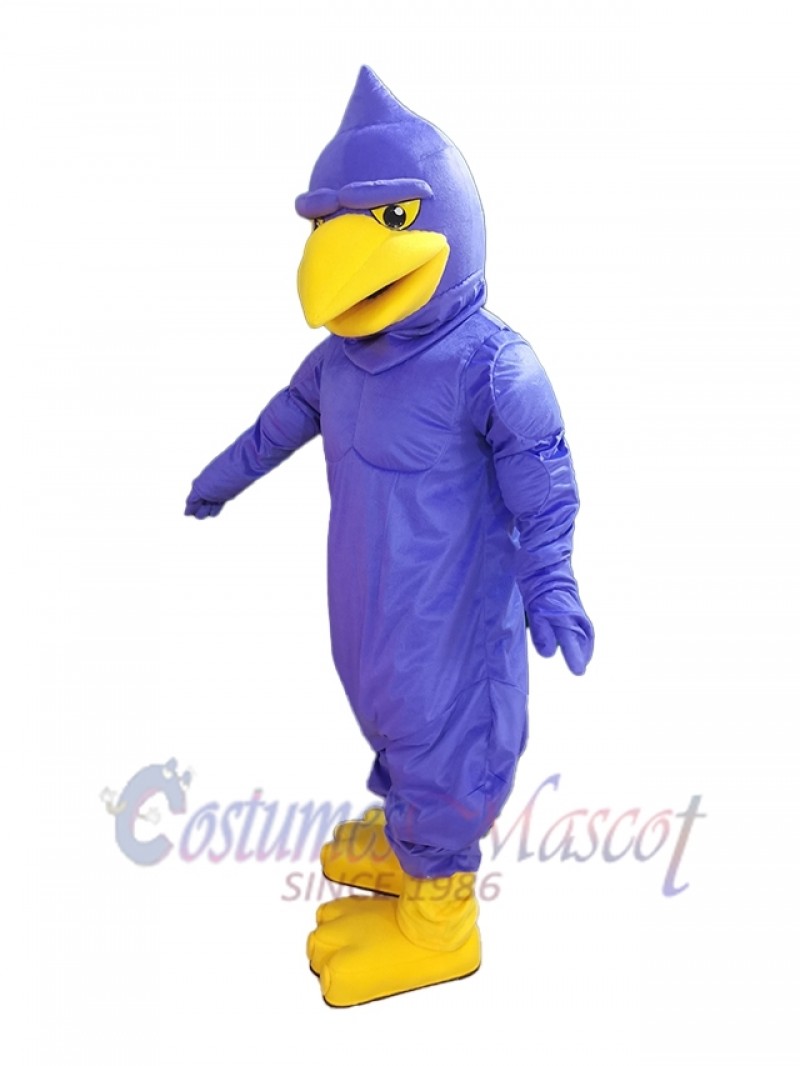 Hawk mascot costume