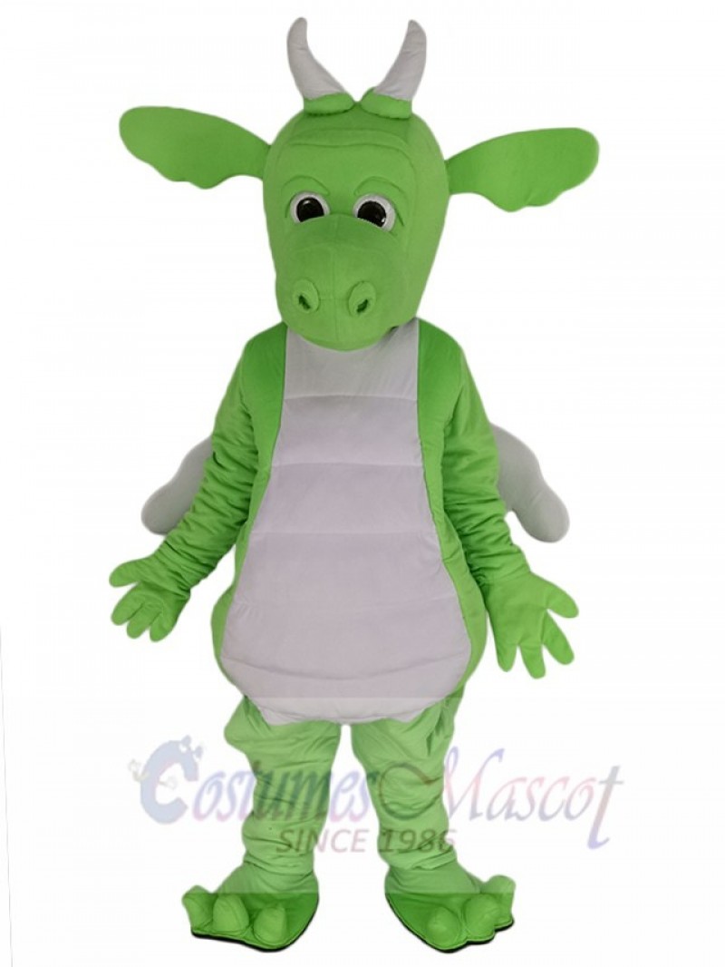 Dragon mascot costume