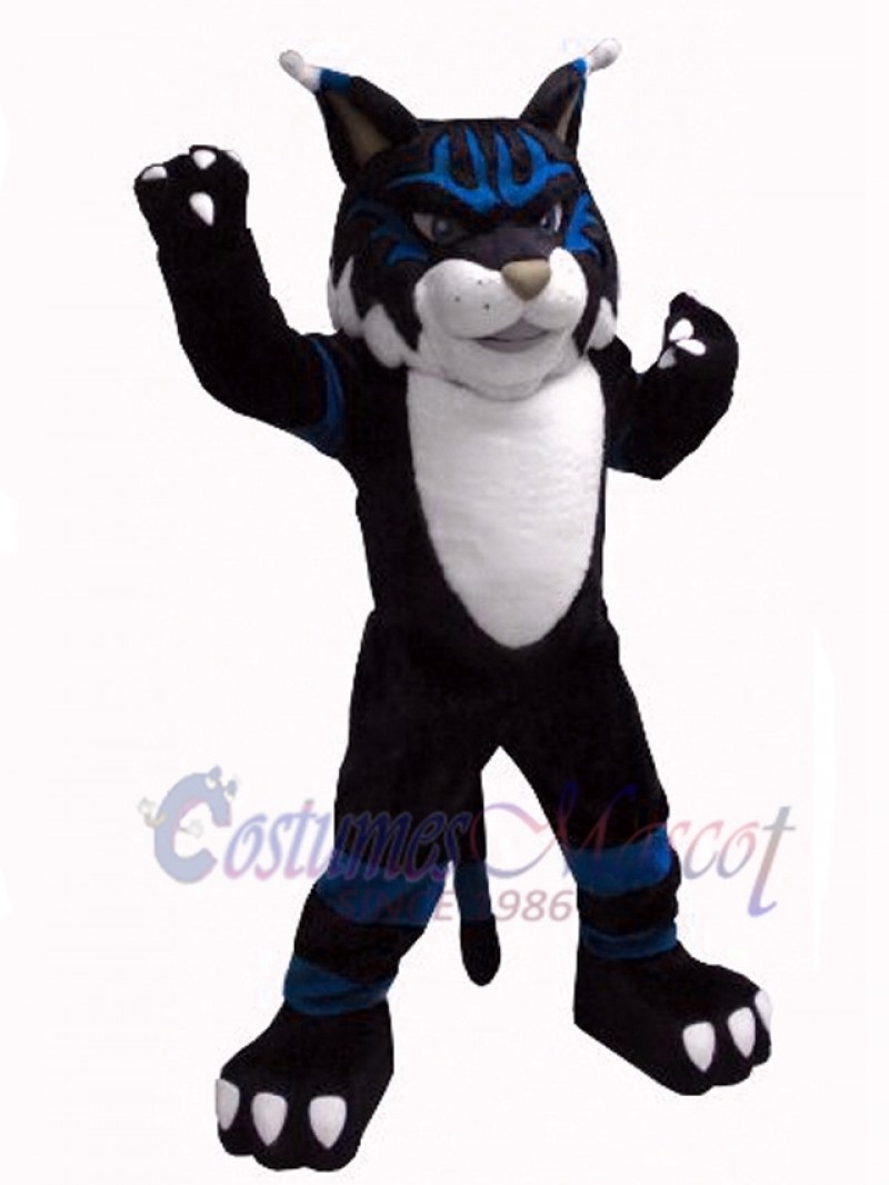 Cat mascot costume