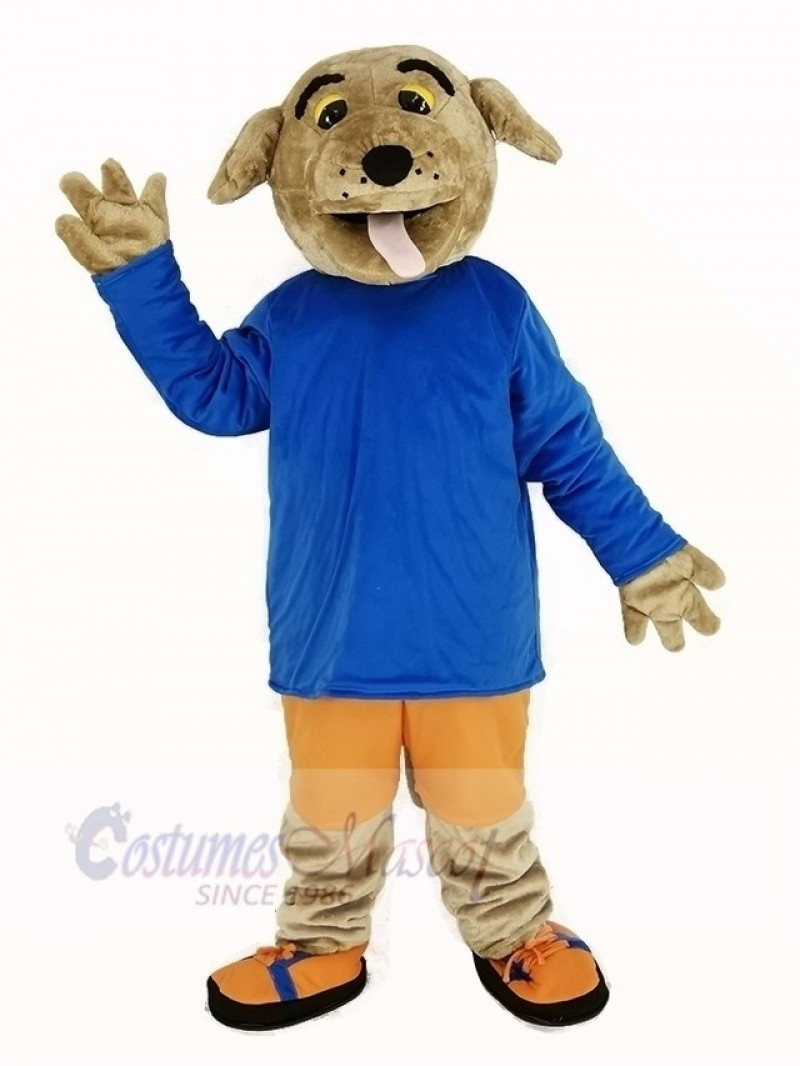 Long-haired Dog with Blue Coat Mascot Costume Animal