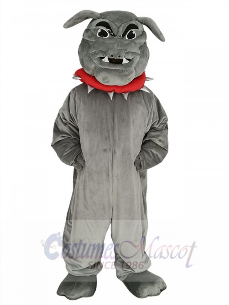 Bulldog mascot costume