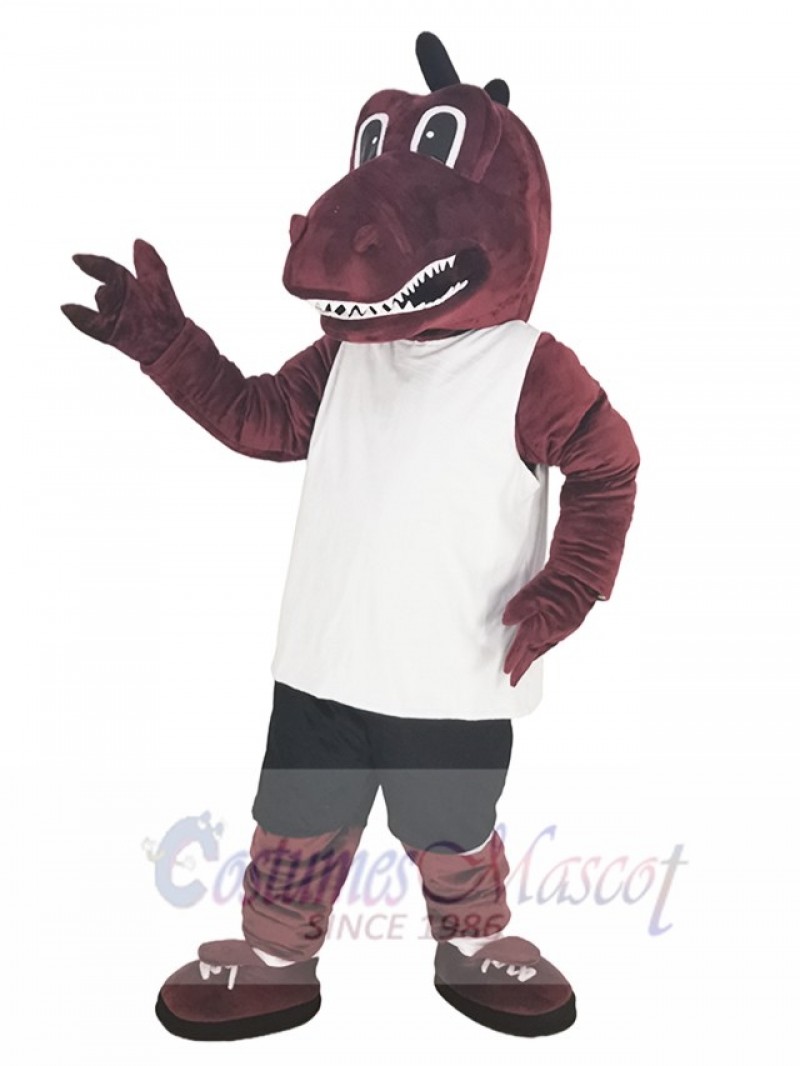 Dragon mascot costume