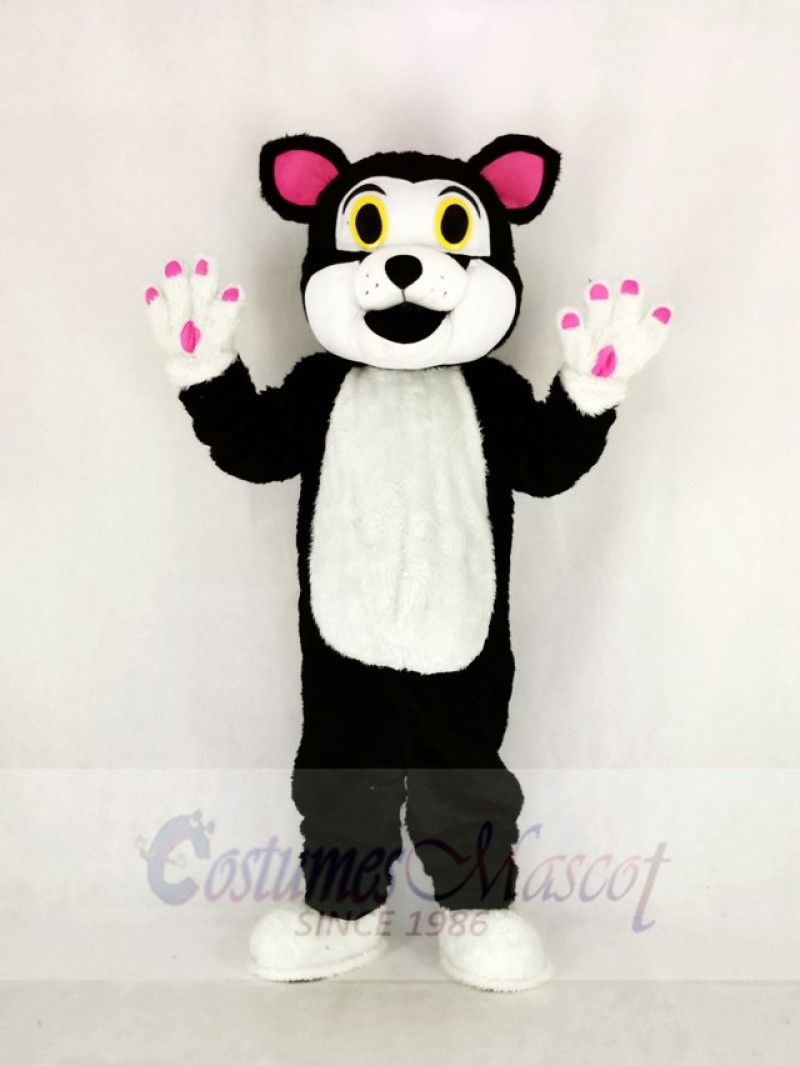 Cute Cat with Green Eyes Mascot Costume Cartoon	