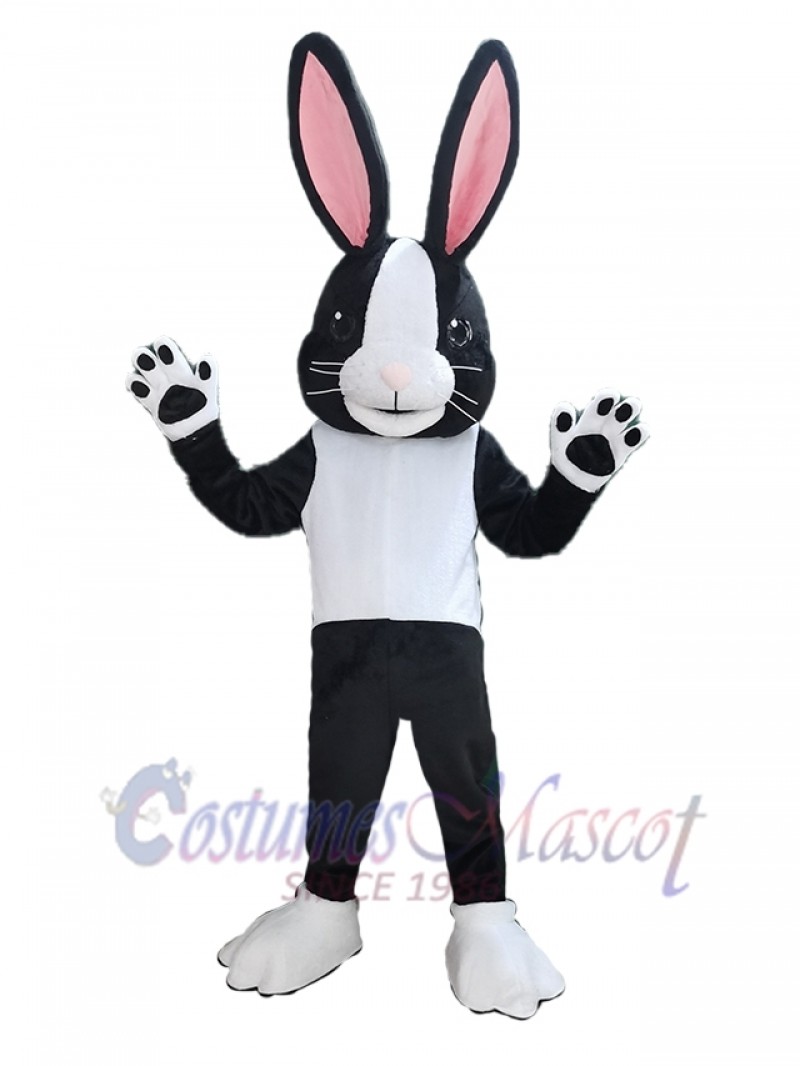 Easter Bunny Rabbit mascot costume