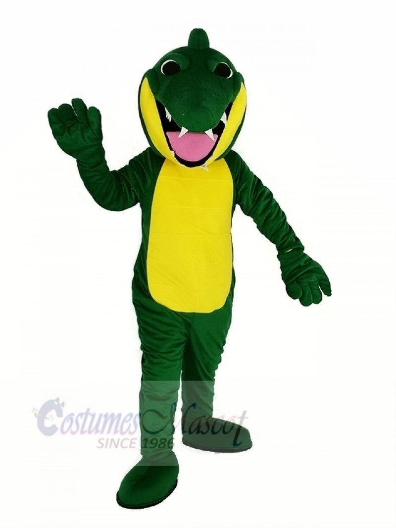 Green Tortoise Turtle Mascot Costumes Animal