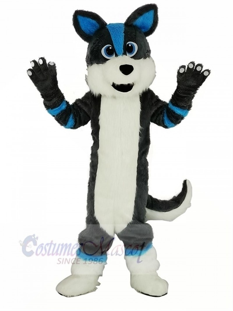 Cute Gray and Blue Husky Dog Fursuit Mascot Costume Cartoon