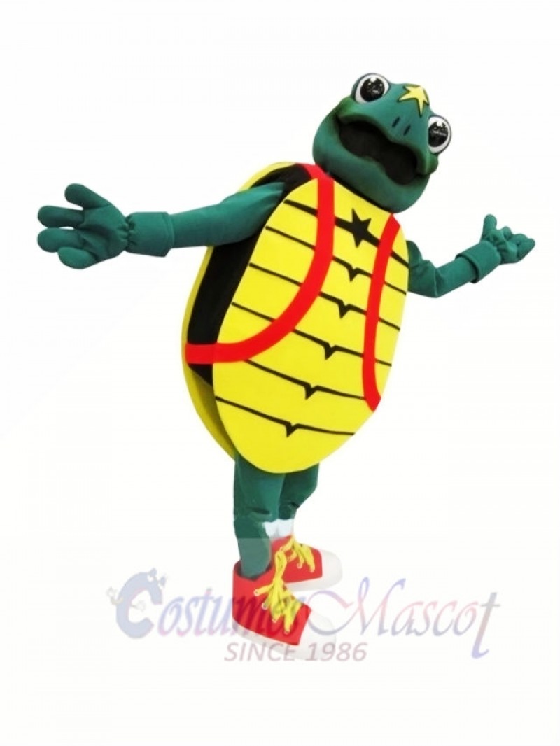 Childrens Hosp Turtle Mascot Costumes 