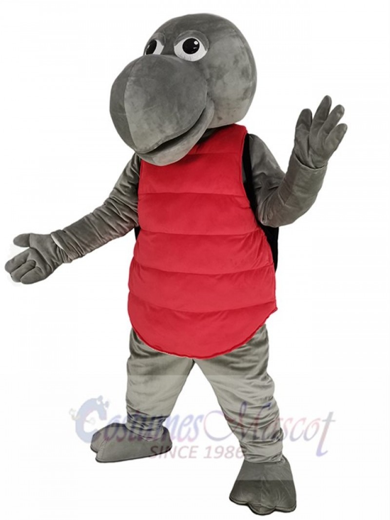 Sea Turtle mascot costume