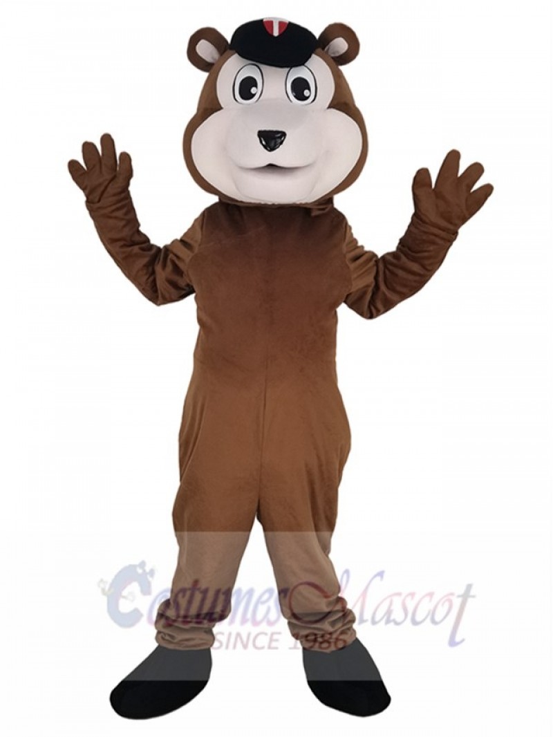 Bear mascot costume