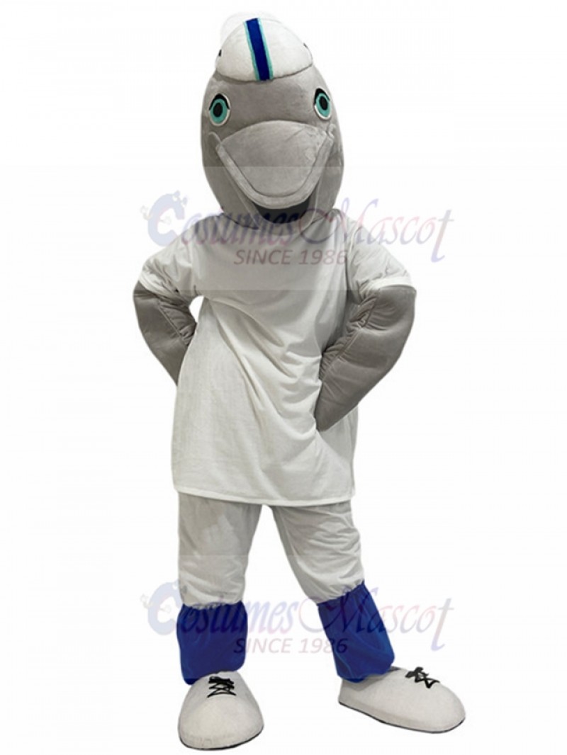 Dolphin mascot costume