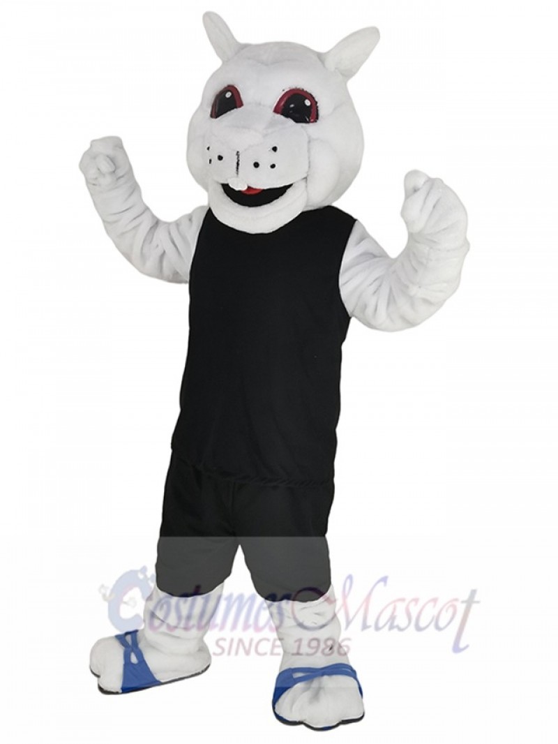 Squirrel mascot costume