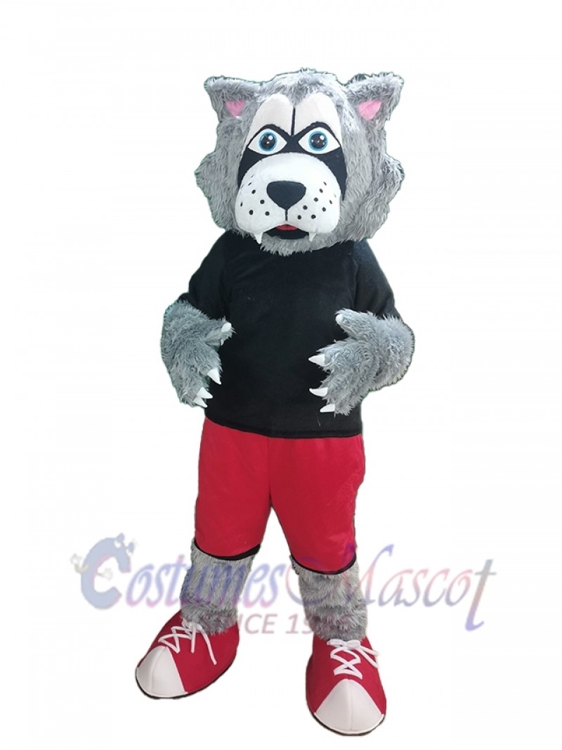 Wolf mascot costume