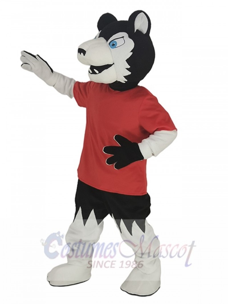 Wolf mascot costume