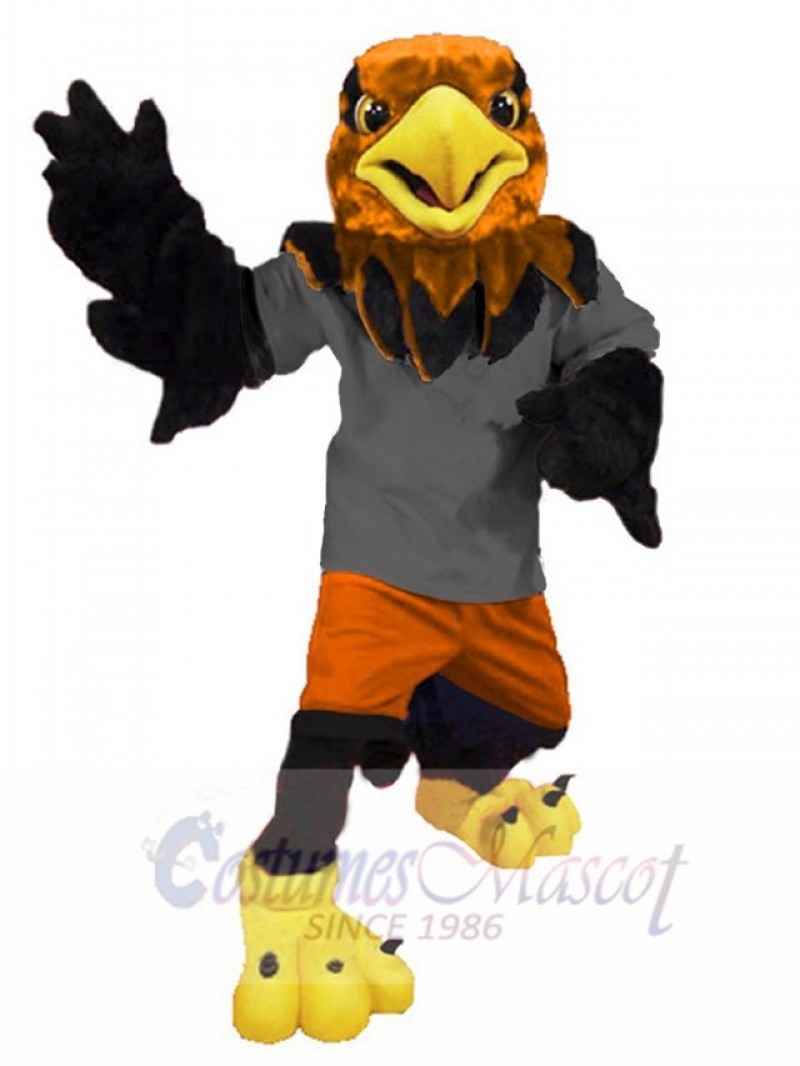 Hawk mascot costume