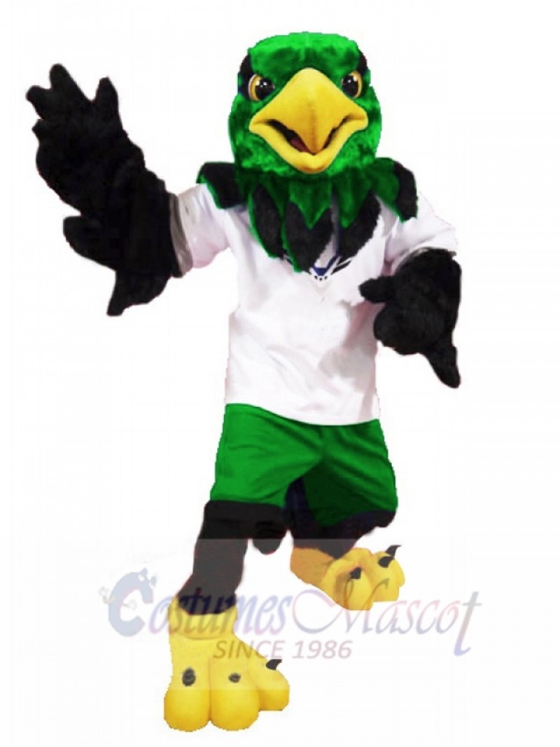 Hawk mascot costume