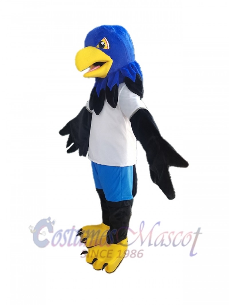 Hawk mascot costume