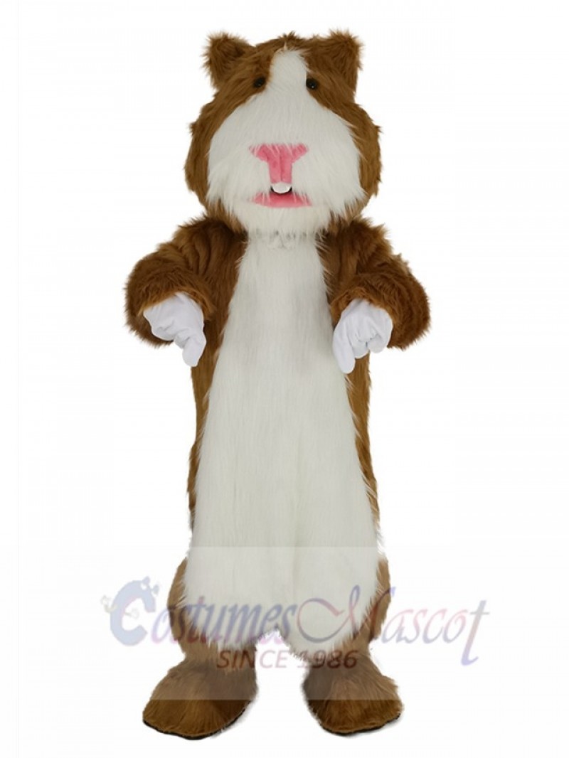 Hamster mascot costume