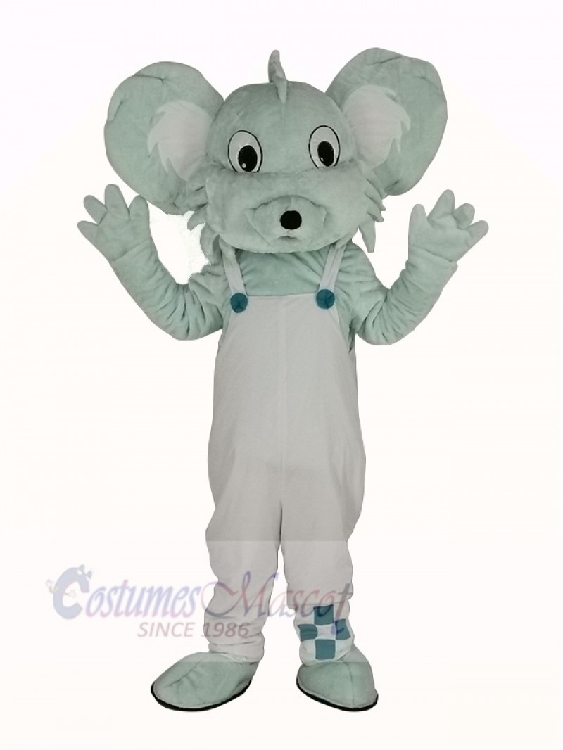 Grey Koala in White Coat Mascot Costume
