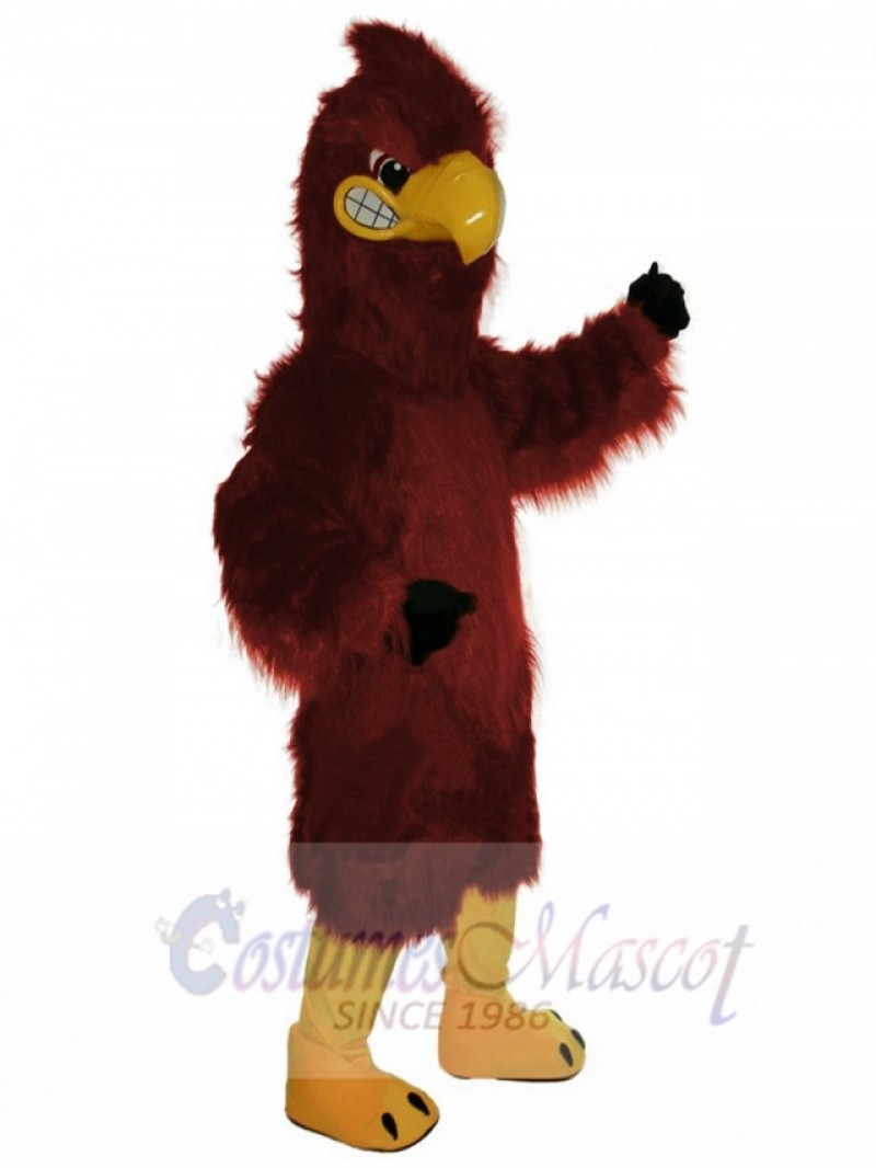 Hawk mascot costume
