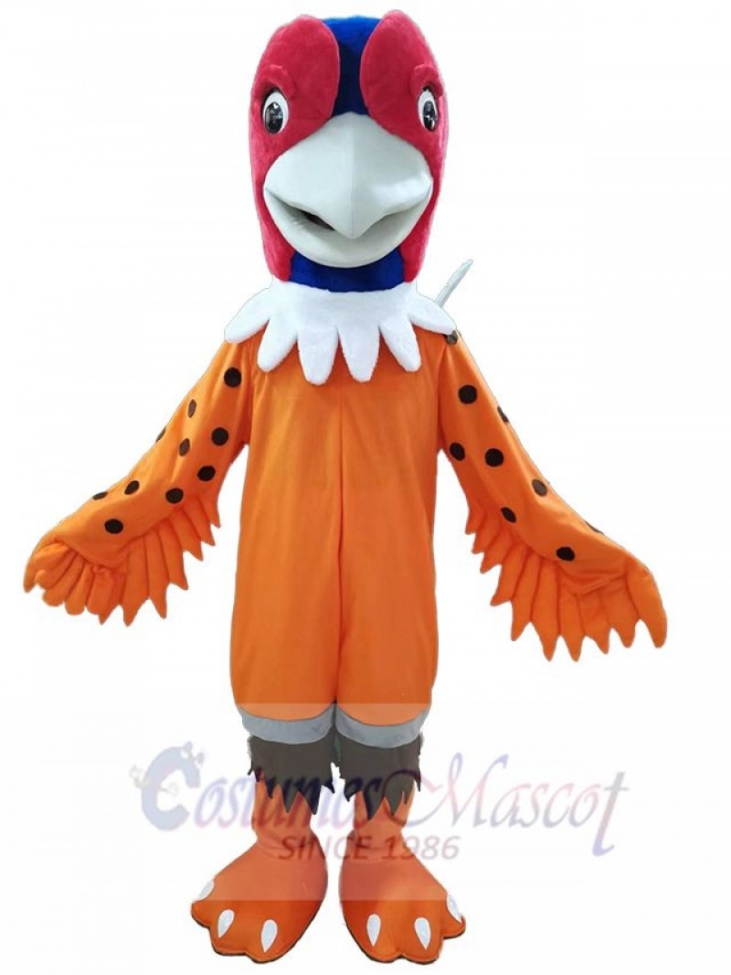 Pheasant mascot costume