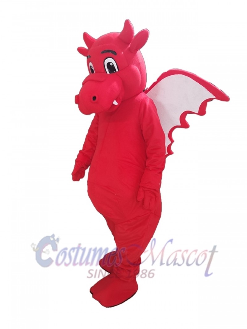 Dragon mascot costume