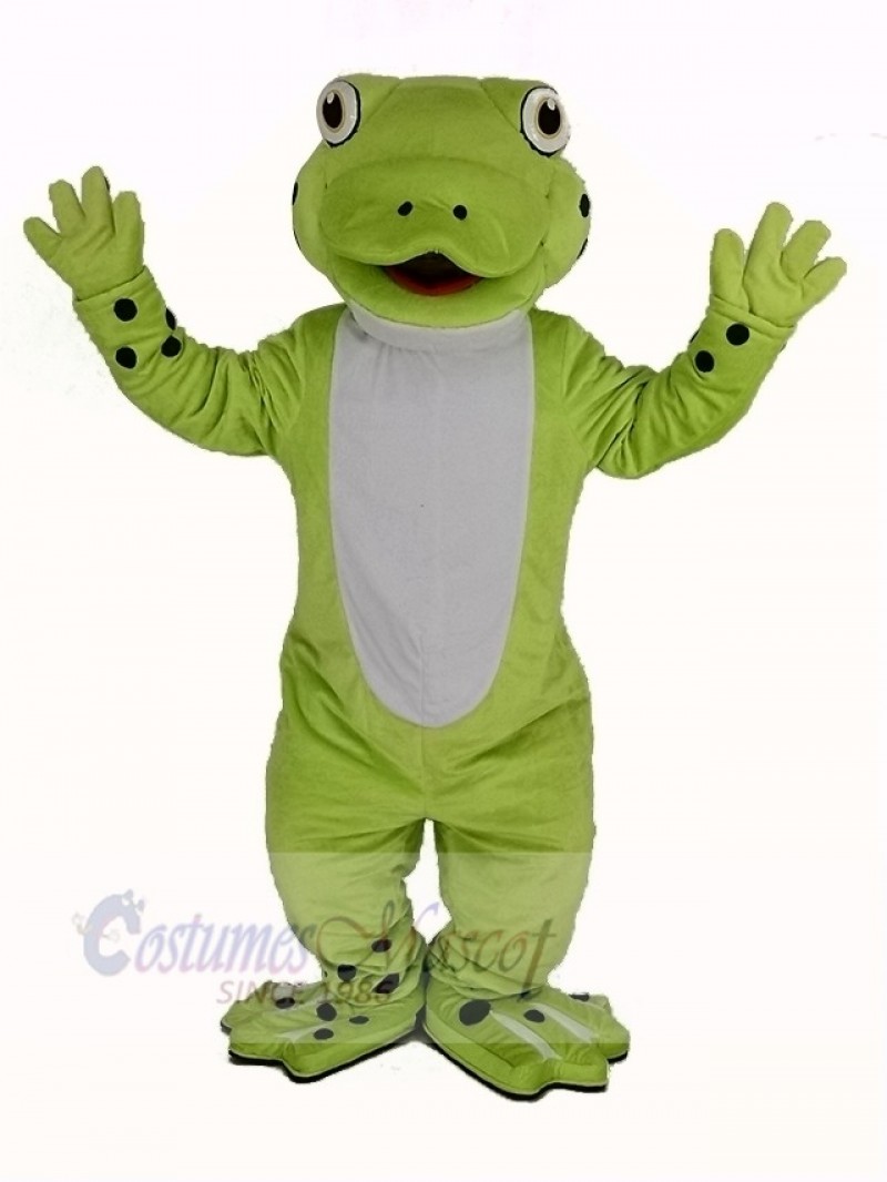 Cute Happy Frog Mascot Costume