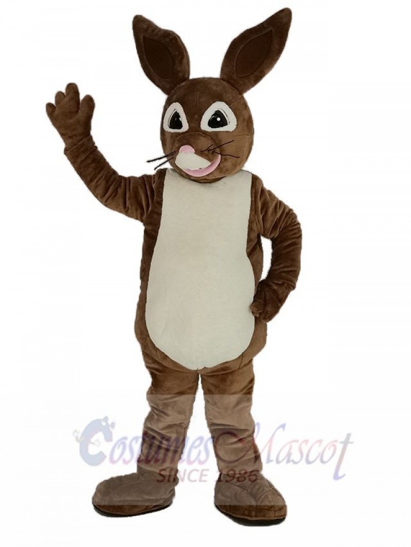 Brown Peter Rabbit Mascot Costume Cartoon
