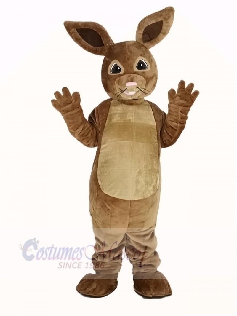 Peter Rabbit Mascot Costume