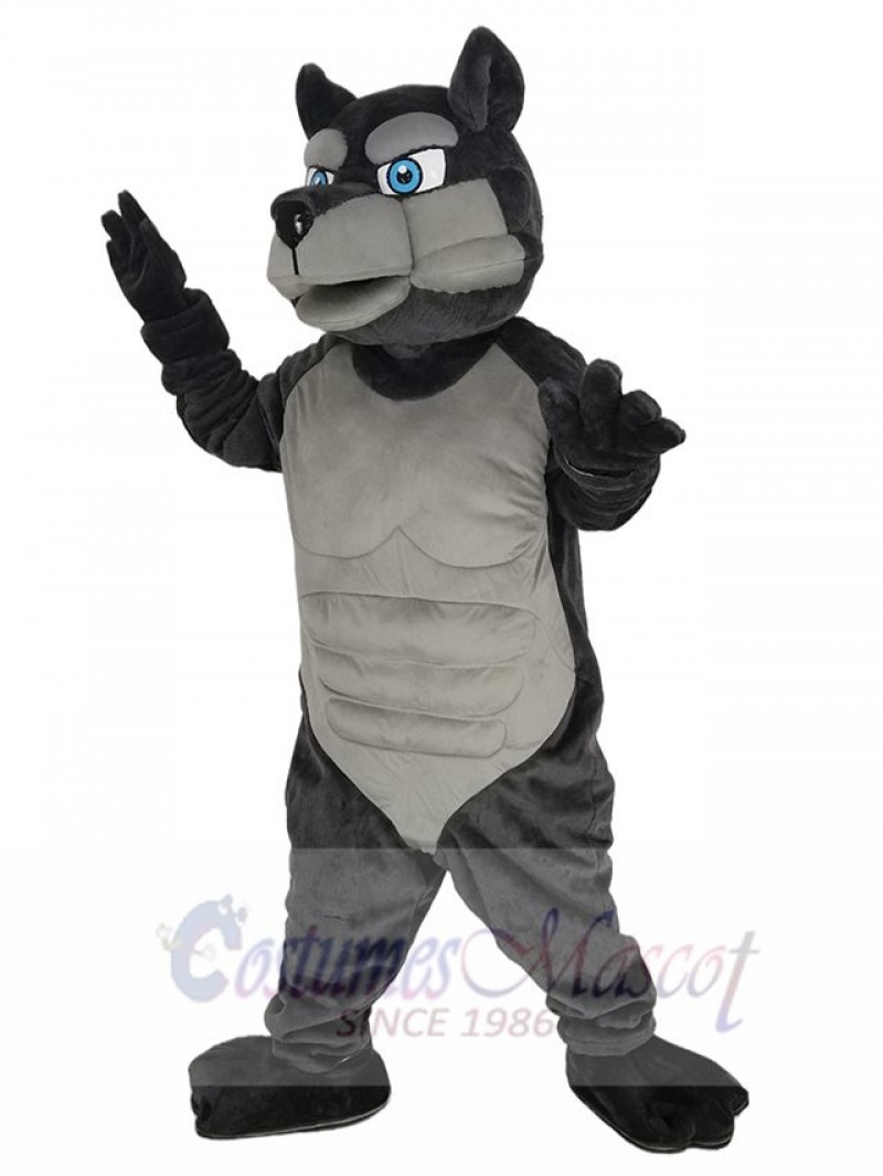 Wolf mascot costume