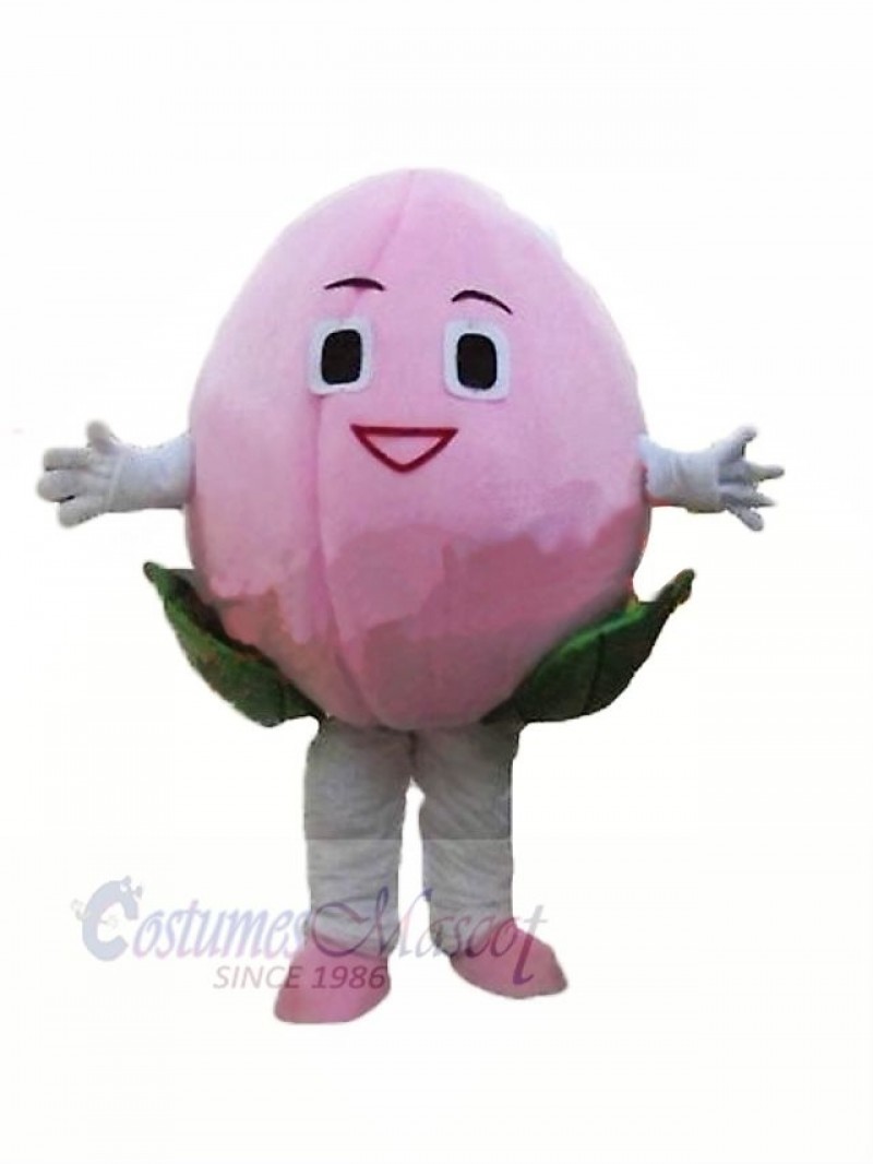 Cheap Peach Mascot Costume Cartoon