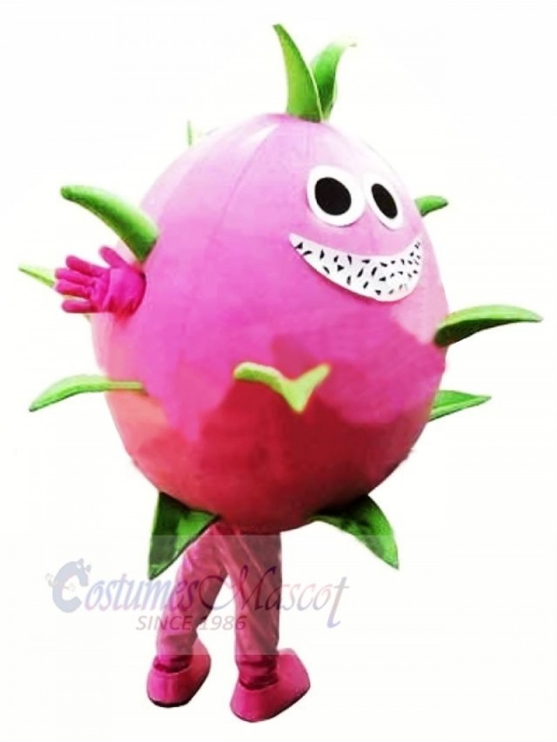 Dragon Fruit Pitaya Mascot Costume Cartoon
