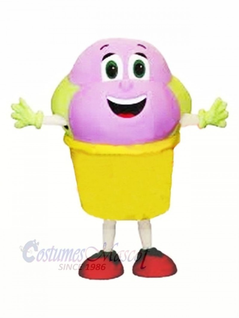 Cute Ice Cream Mascot Costume Cartoon