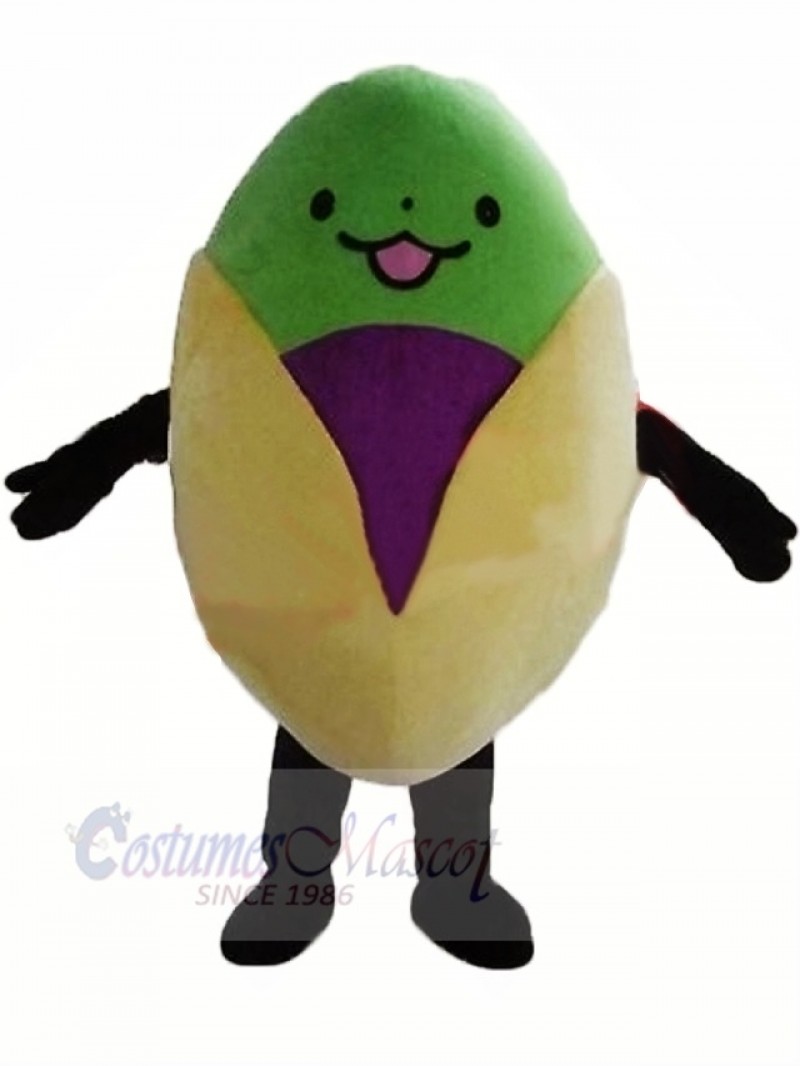 Cute Pistachio Mascot Costume Cartoon