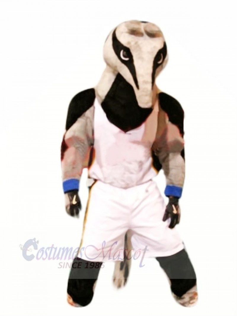 Sports Anteater Mascot Costume Cartoon