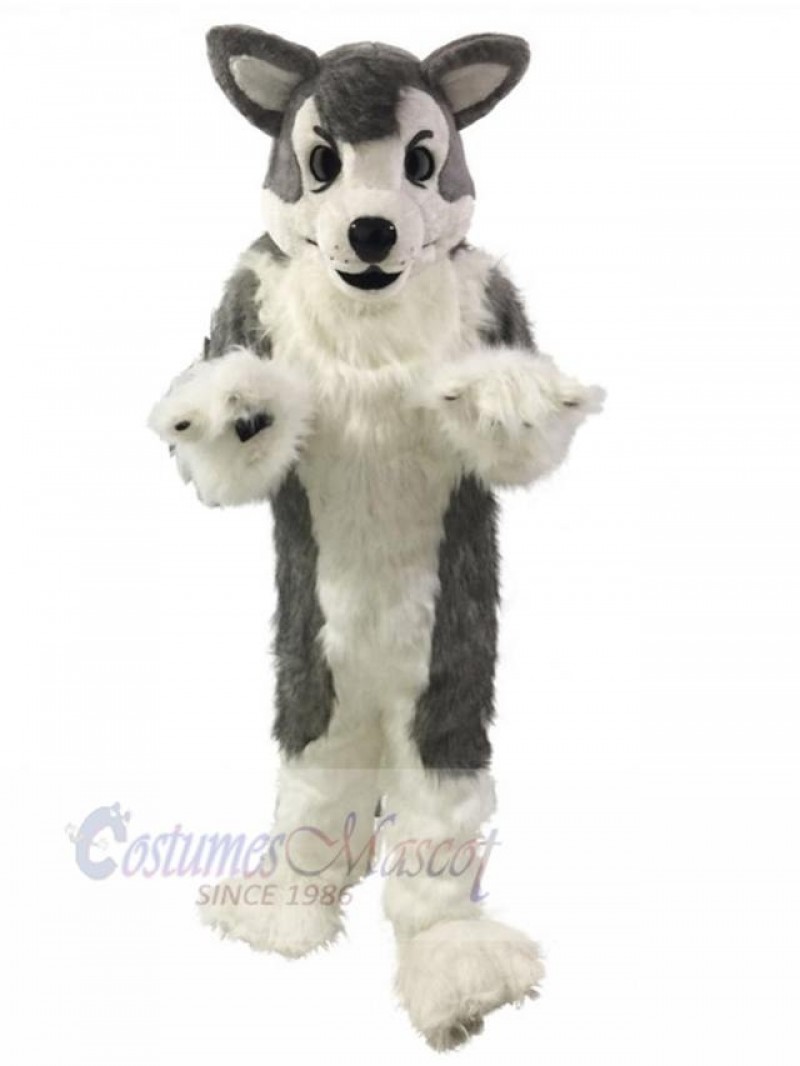 Dog mascot costume