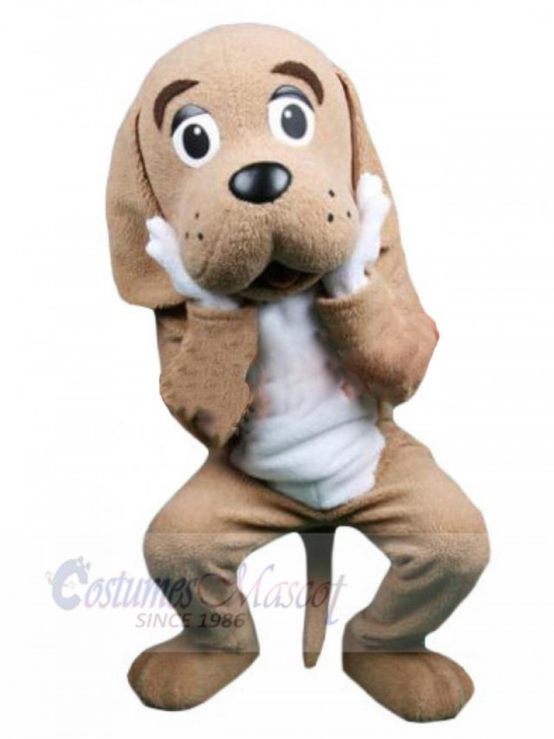 Dog mascot costume