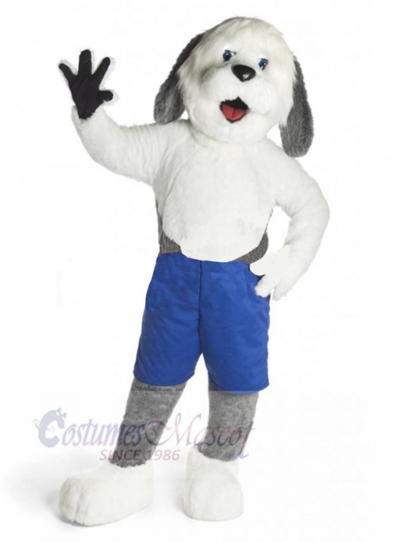 Dog mascot costume