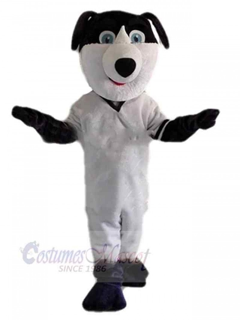 Dog mascot costume