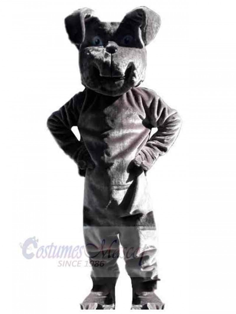 Dog mascot costume