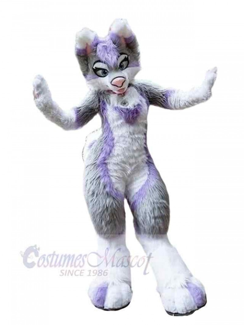 Dog mascot costume