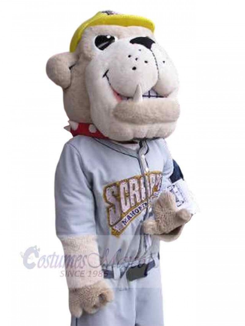 Dog mascot costume