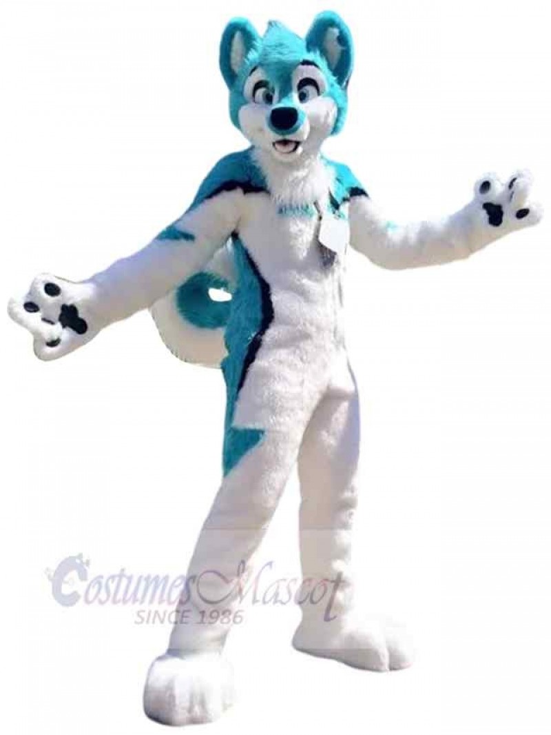 Dog mascot costume