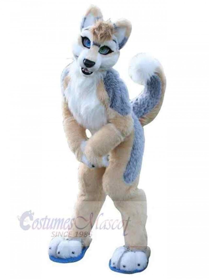 Dog mascot costume