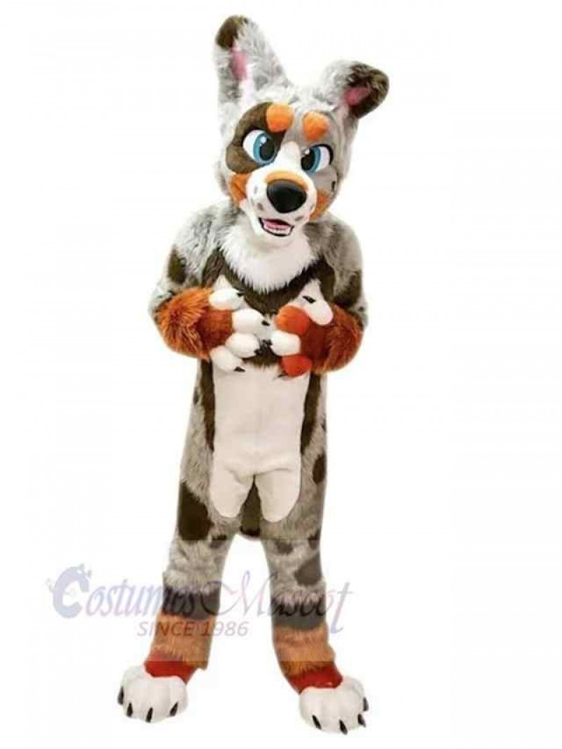 Dog mascot costume